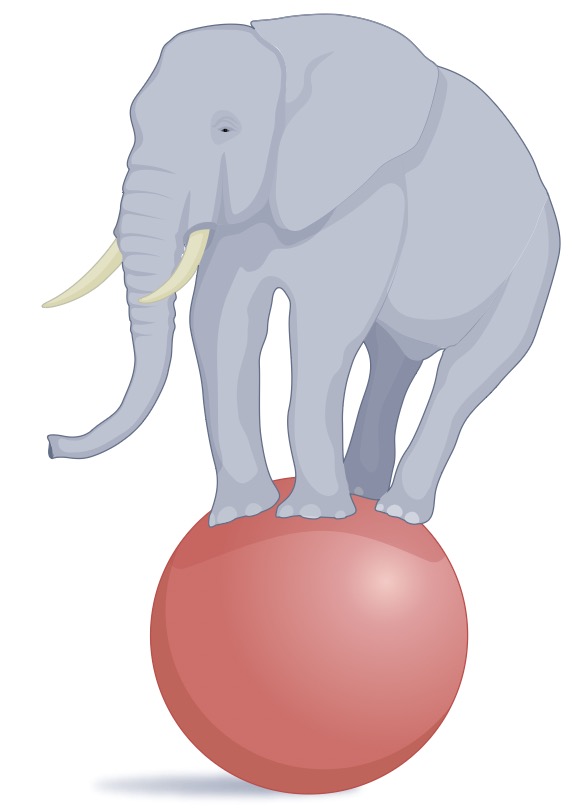 elephant