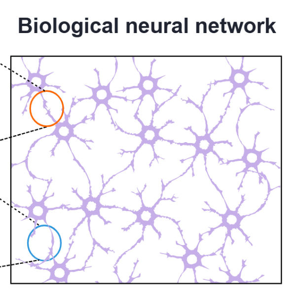 neural network